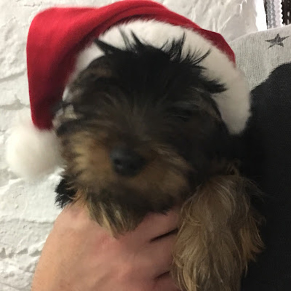 Meet your Posher, Cynthia - Picture 1 of 1